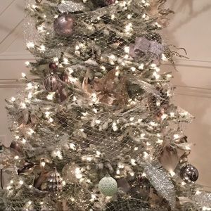 Meet your Posher, Dan